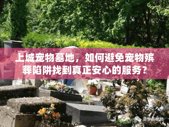 上城宠物墓地，如何避免宠物殡葬陷阱找到真正安心的服务？