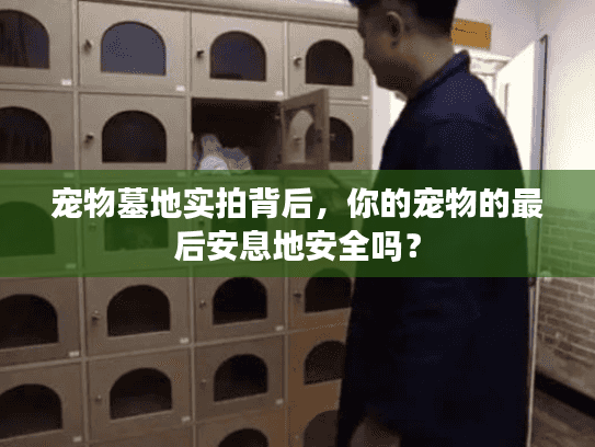 宠物墓地实拍背后,你的宠物的最后安息地安全吗? 宠物墓地实拍背后,你的宠物的最后安息地安全吗?