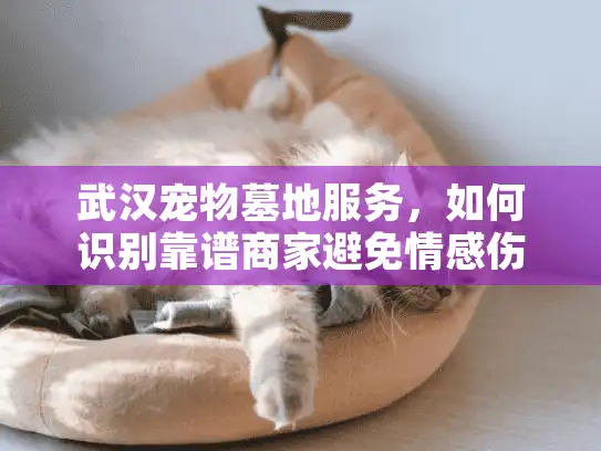 武汉宠物墓地服务，如何识别靠谱商家避免情感伤害？