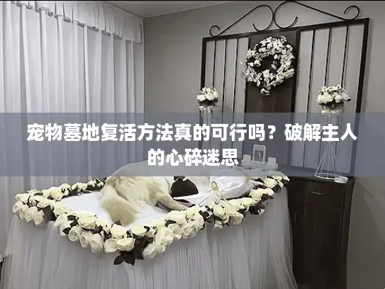 宠物墓地复活方法真的可行吗？破解主人的心碎迷思