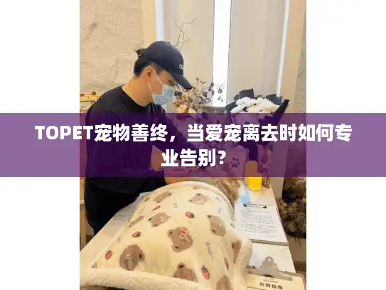 TOPET宠物善终，当爱宠离去时如何专业告别？