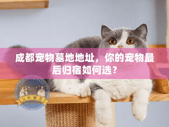 成都宠物墓地地址,你的宠物最后归宿如何选? 成都宠物墓地地址,你的宠物最后归宿如何选?
