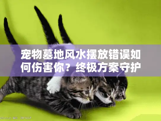 宠物墓地风水摆放错误如何伤害你？终极方案守护爱宠安宁