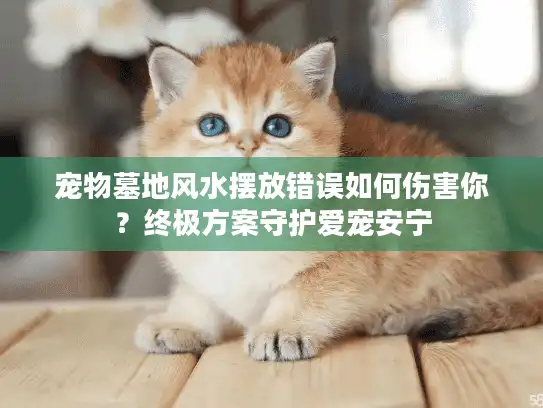 宠物墓地风水摆放错误如何伤害你？终极方案守护爱宠安宁