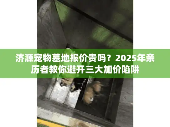济源宠物墓地报价贵吗?2025年亲历者教你避开三大加价陷阱 济源宠物墓地报价贵吗?2025年亲历者教你避开三大加价陷阱