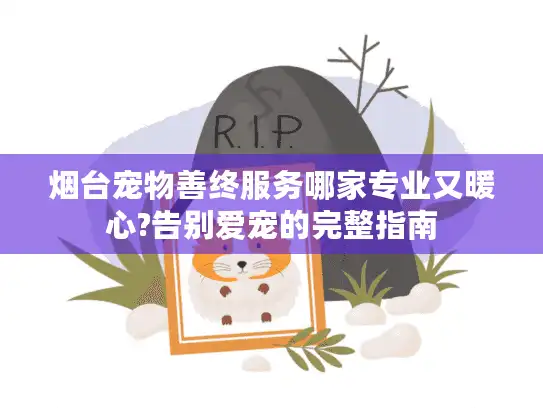 烟台宠物善终服务哪家专业又暖心?告别爱宠的完整指南
