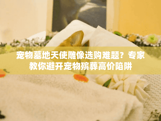 宠物墓地天使雕像选购难题?专家教你避开宠物殡葬高价陷阱 宠物墓地天使雕像选购难题?专家教你避开宠物殡葬高价陷阱