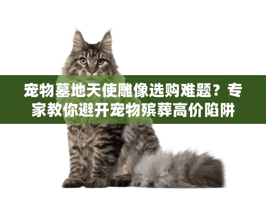 宠物墓地天使雕像选购难题?专家教你避开宠物殡葬高价陷阱 宠物墓地天使雕像选购难题?专家教你避开宠物殡葬高价陷阱