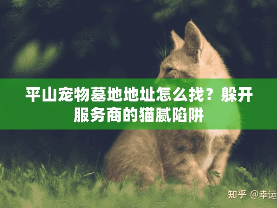 平山宠物墓地地址怎么找？躲开服务商的猫腻陷阱
