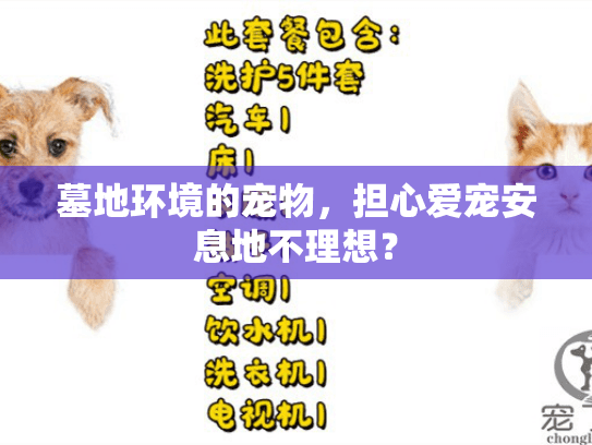 墓地环境的宠物，担心爱宠安息地不理想？