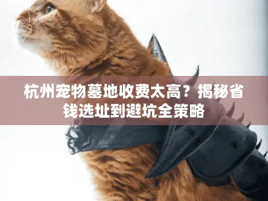 杭州宠物墓地收费太高？揭秘省钱选址到避坑全策略