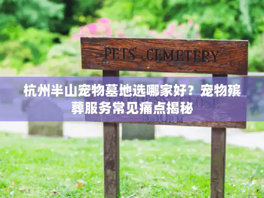 杭州半山宠物墓地选哪家好？宠物殡葬服务常见痛点揭秘