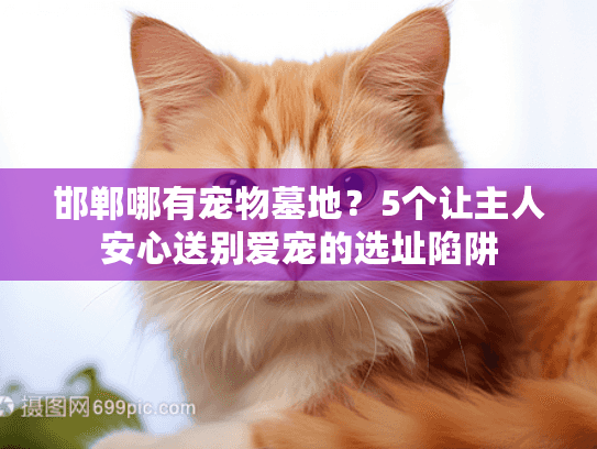 邯郸哪有宠物墓地?5个让主人安心送别爱宠的选址陷阱 邯郸哪有宠物墓地?5个让主人安心送别爱宠的选址陷阱