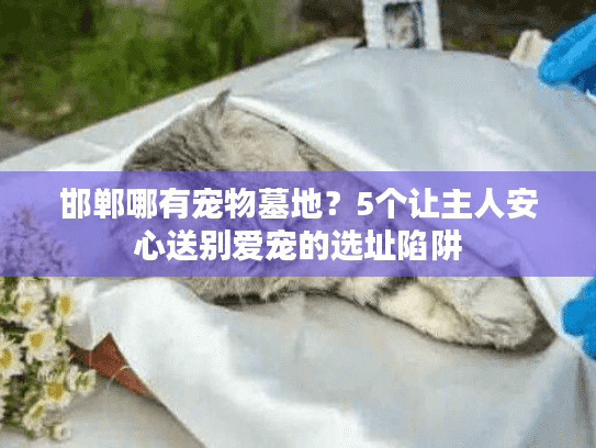 邯郸哪有宠物墓地?5个让主人安心送别爱宠的选址陷阱 邯郸哪有宠物墓地?5个让主人安心送别爱宠的选址陷阱
