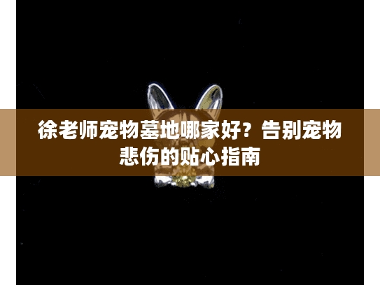 徐老师宠物墓地哪家好?告别宠物悲伤的贴心指南 徐老师宠物墓地哪家好?告别宠物悲伤的贴心指南
