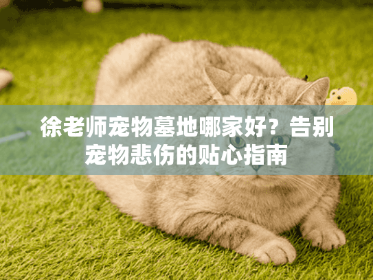 徐老师宠物墓地哪家好?告别宠物悲伤的贴心指南 徐老师宠物墓地哪家好?告别宠物悲伤的贴心指南