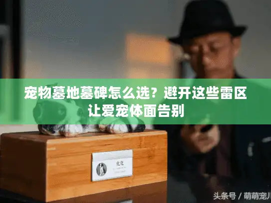 宠物墓地墓碑怎么选？避开这些雷区让爱宠体面告别