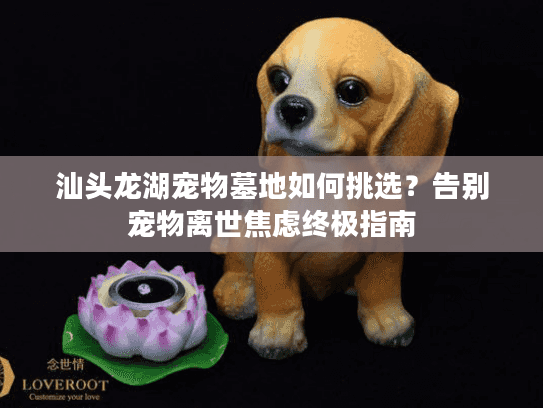 汕头龙湖宠物墓地如何挑选？告别宠物离世焦虑终极指南