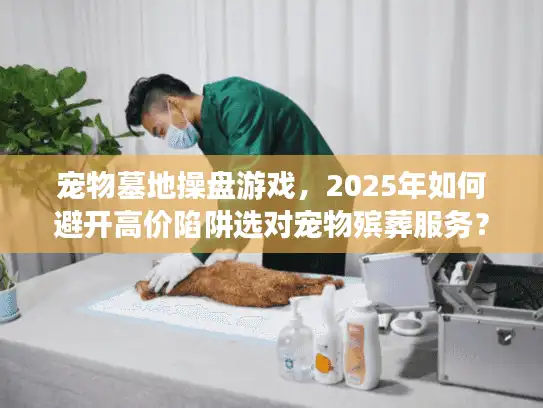 宠物墓地操盘游戏，2025年如何避开高价陷阱选对宠物殡葬服务？