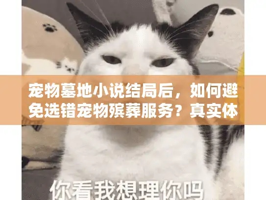 宠物墓地小说结局后,如何避免选错宠物殡葬服务?真实体验揭秘 宠物墓地小说结局后,如何避免选错宠物殡葬服务?真实体验揭秘