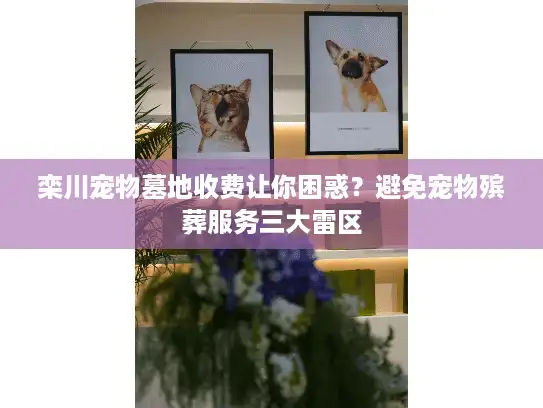 栾川宠物墓地收费让你困惑？避免宠物殡葬服务三大雷区