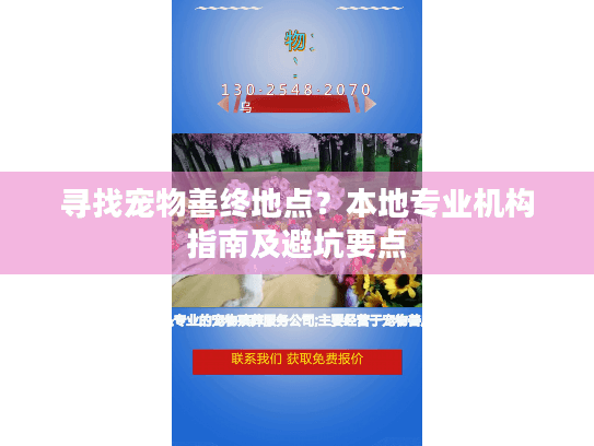 寻找宠物善终地点？本地专业机构指南及避坑要点