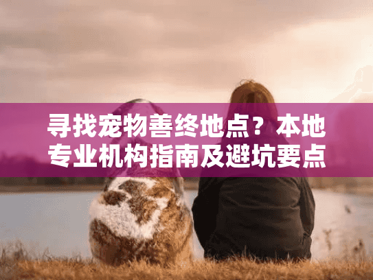 寻找宠物善终地点？本地专业机构指南及避坑要点