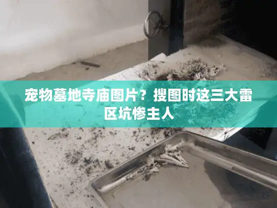 宠物墓地寺庙图片？搜图时这三大雷区坑惨主人