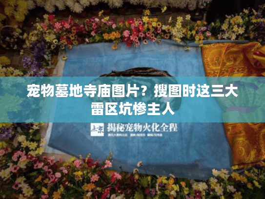 宠物墓地寺庙图片？搜图时这三大雷区坑惨主人