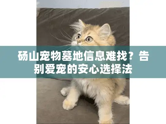 砀山宠物墓地信息难找?告别爱宠的安心选择法 砀山宠物墓地信息难找?告别爱宠的安心选择法