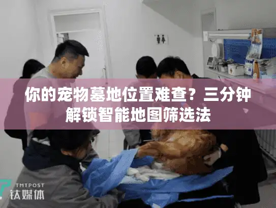 你的宠物墓地位置难查？三分钟解锁智能地图筛选法