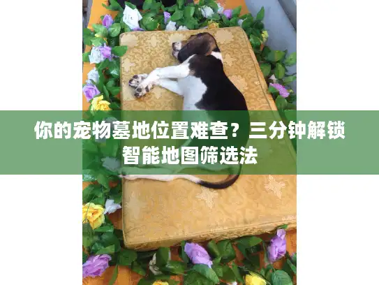 你的宠物墓地位置难查？三分钟解锁智能地图筛选法