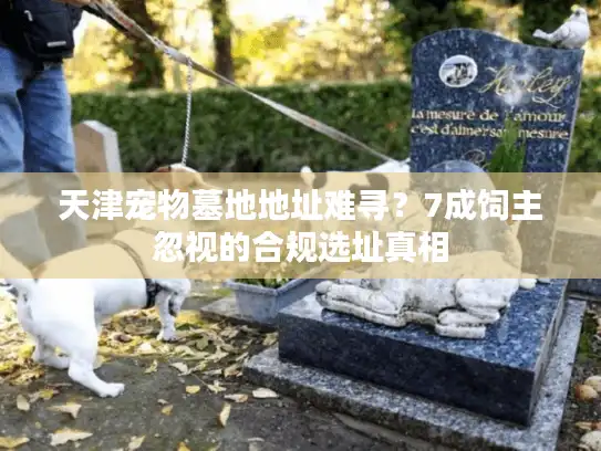 天津宠物墓地地址难寻？7成饲主忽视的合规选址真相
