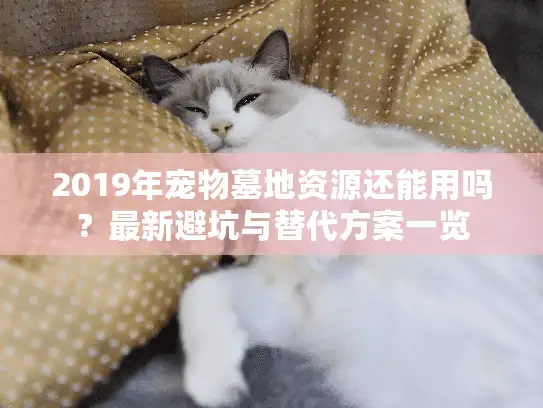 2019年宠物墓地资源还能用吗？最新避坑与替代方案一览