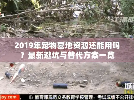 2019年宠物墓地资源还能用吗？最新避坑与替代方案一览