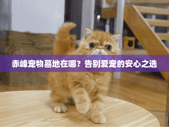 赤峰宠物墓地在哪？告别爱宠的安心之选