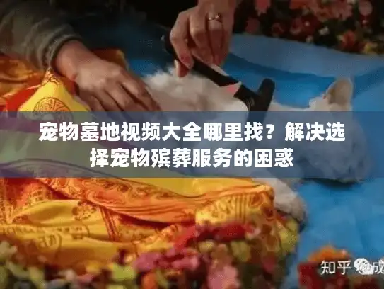 宠物墓地视频大全哪里找？解决选择宠物殡葬服务的困惑