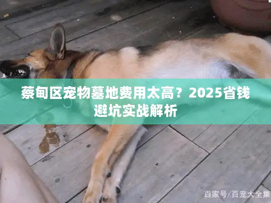 蔡甸区宠物墓地费用太高?2025省钱避坑实战解析 蔡甸区宠物墓地费用太高?2025省钱避坑实战解析