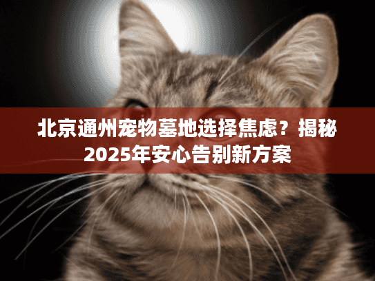 北京通州宠物墓地选择焦虑?揭秘2025年安心告别新方案 北京通州宠物墓地选择焦虑?揭秘2025年安心告别新方案