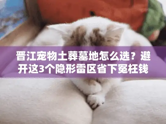 晋江宠物土葬墓地怎么选?避开这3个隐形雷区省下冤枉钱 晋江宠物土葬墓地怎么选?避开这3个隐形雷区省下冤枉钱