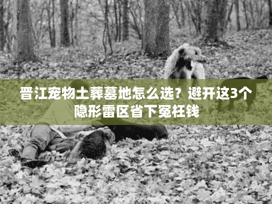 晋江宠物土葬墓地怎么选?避开这3个隐形雷区省下冤枉钱 晋江宠物土葬墓地怎么选?避开这3个隐形雷区省下冤枉钱
