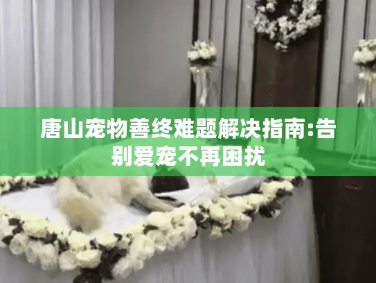 唐山宠物善终难题解决指南:告别爱宠不再困扰
