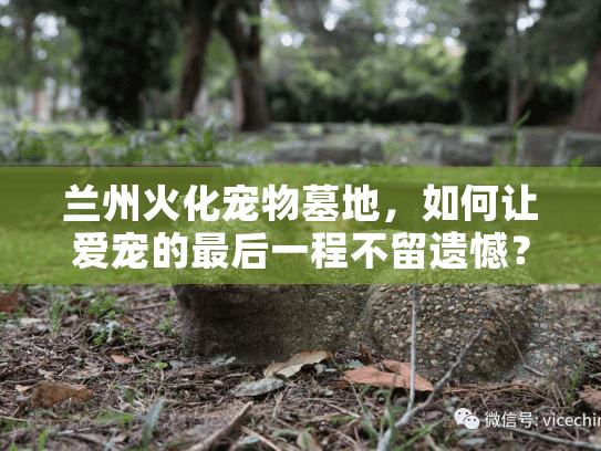 兰州火化宠物墓地，如何让爱宠的最后一程不留遗憾？