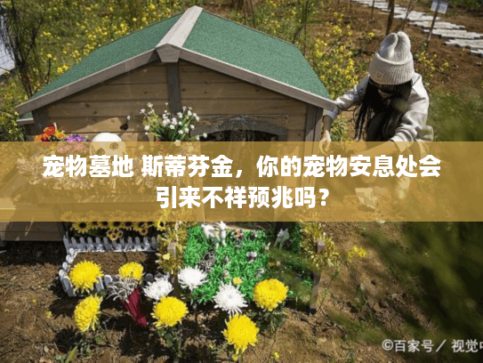 宠物墓地 斯蒂芬金，你的宠物安息处会引来不祥预兆吗？