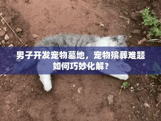 男子开发宠物墓地，宠物殡葬难题如何巧妙化解？