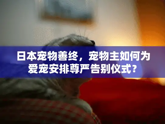 日本宠物善终,宠物主如何为爱宠安排尊严告别仪式? 日本宠物善终,宠物主如何为爱宠安排尊严告别仪式?