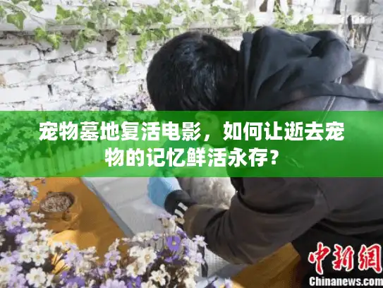 宠物墓地复活电影,如何让逝去宠物的记忆鲜活永存? 宠物墓地复活电影,如何让逝去宠物的记忆鲜活永存?