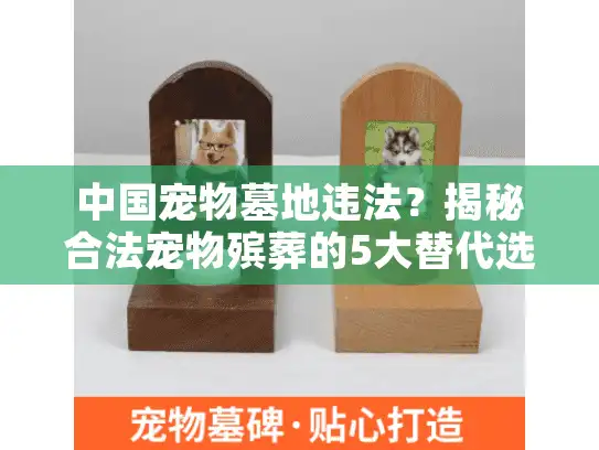 中国宠物墓地违法？揭秘合法宠物殡葬的5大替代选择