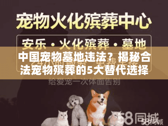 中国宠物墓地违法？揭秘合法宠物殡葬的5大替代选择