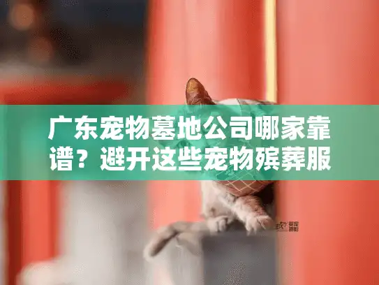 广东宠物墓地公司哪家靠谱？避开这些宠物殡葬服务陷阱！